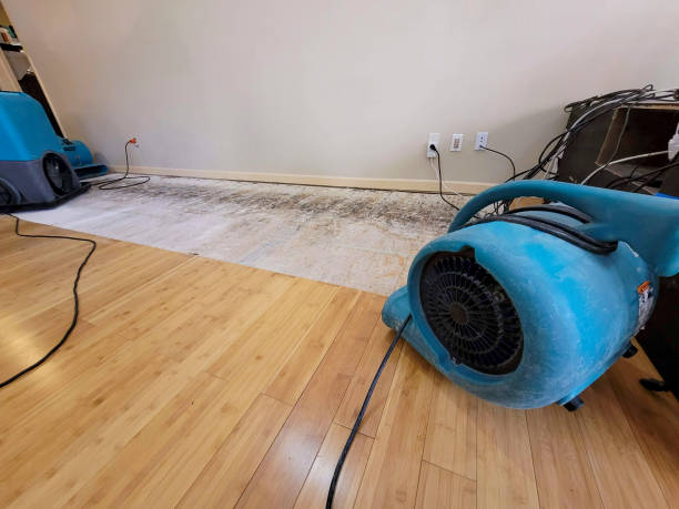 Professional Sewage Cleanup technician working in Henderson, CO